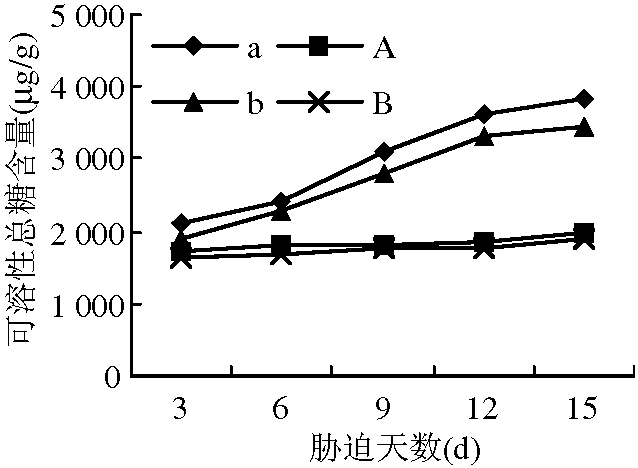 結(jié)縷草屬植物的抗旱機(jī)理